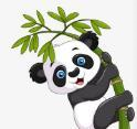 WWW,se575·COM网站APPAPP应用